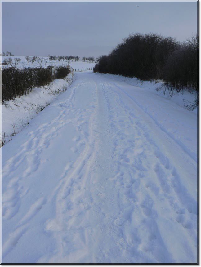 2010-12-26-ATTON-LA NEIGE-028.jpg